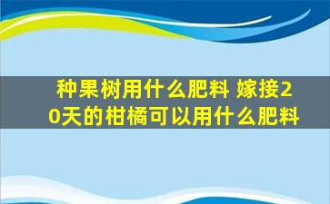 种果树用什么肥料 嫁接20天的柑橘可以用什么肥料